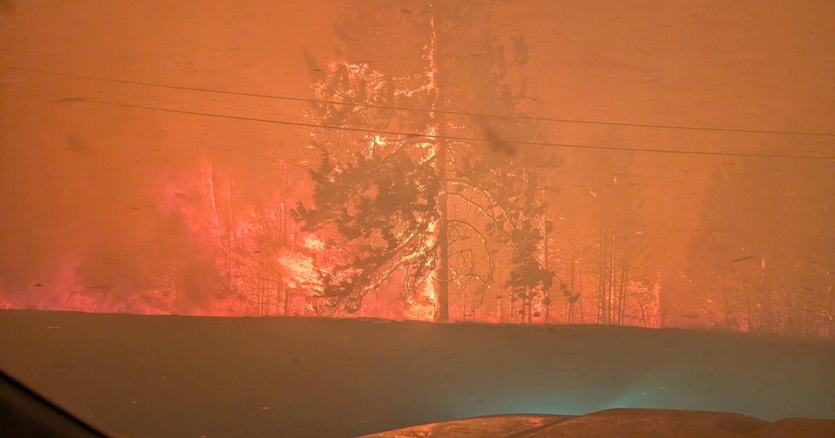 Incendies de forêt en Colombie-Britannique : plus de 20 000 évacuations
