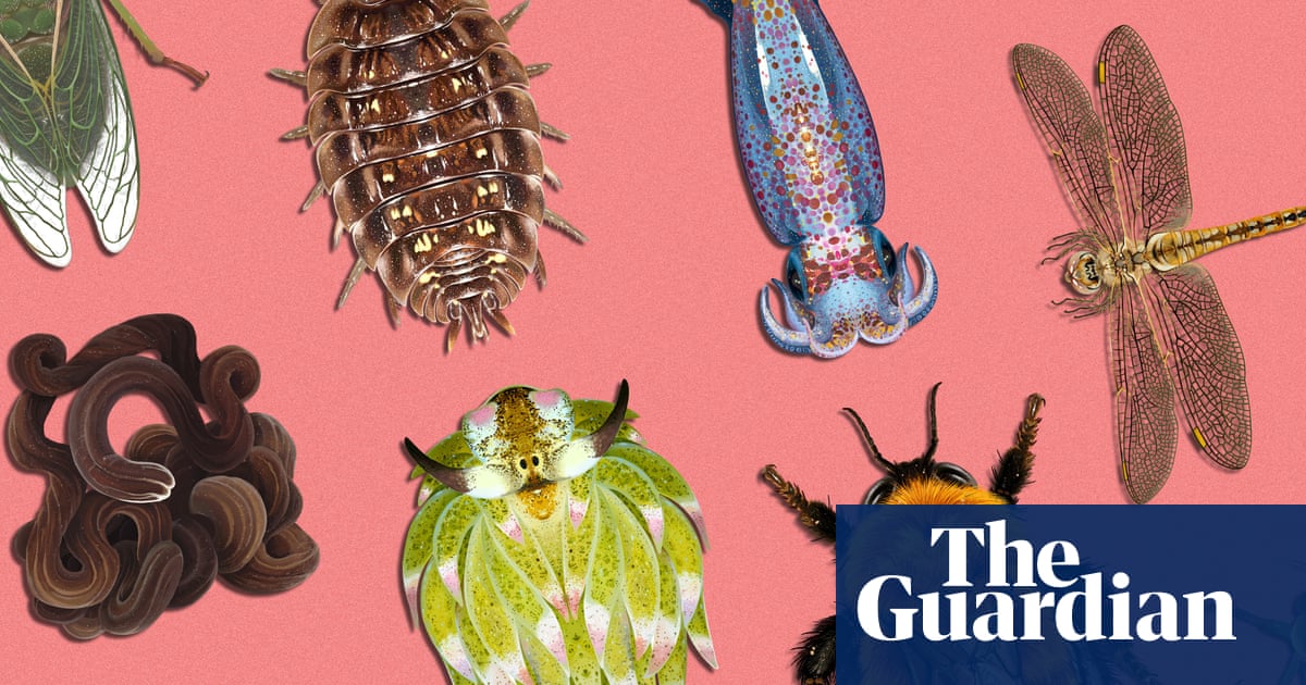 Leaf Sheep Crowned Invertebrate of the Year 2026