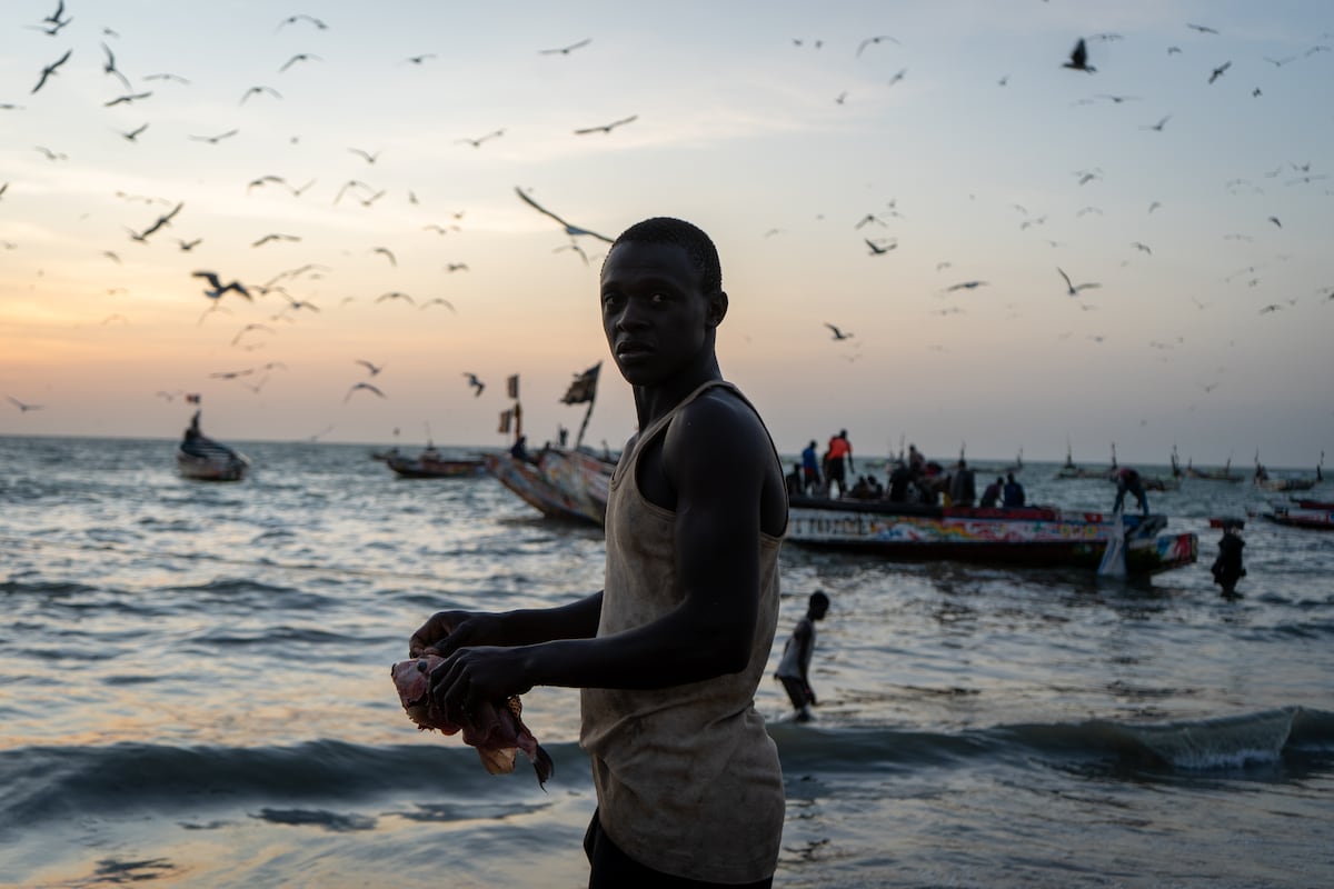 La crisis pesquera en Gambia: sobreexplotación y migración forzada