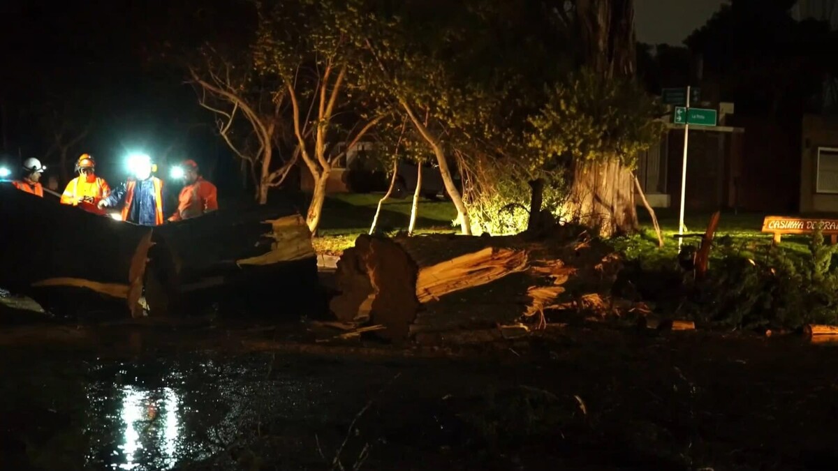 Ciclón extratropical en Uruguay causa un fallecido y daños significativos
