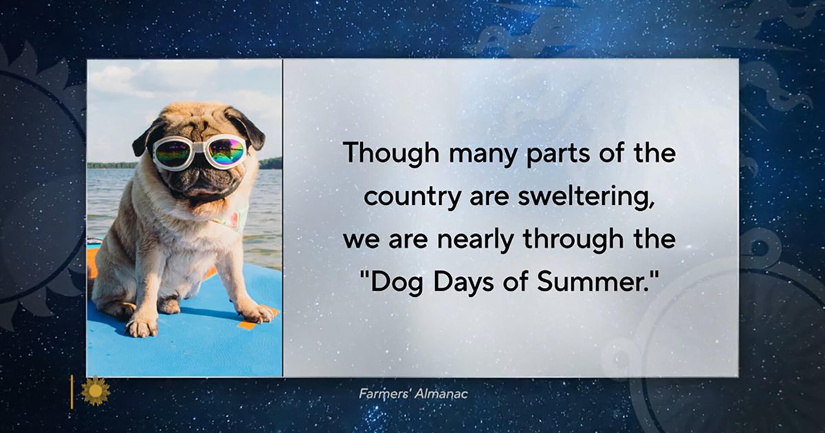 Understanding the ‘Dog Days of Summer’