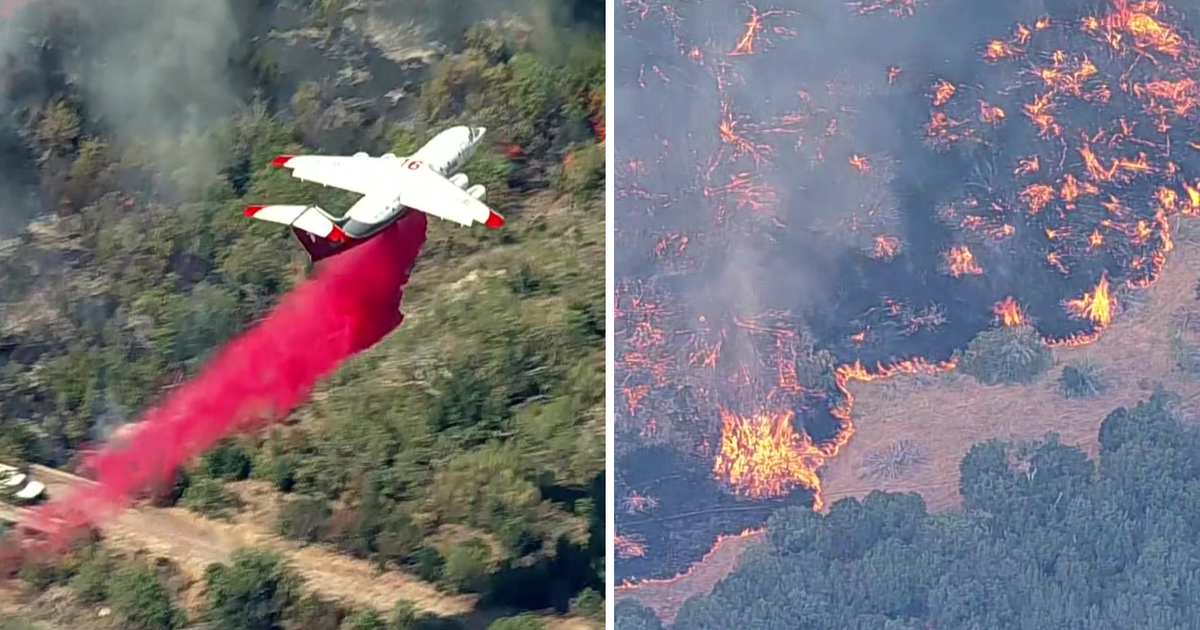 Ross Fire Grows to 85,000 Acres, Evacuations Ordered in North Texas