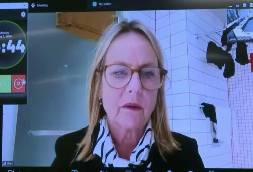 New Zealand Politician Sparks Controversy by Joining Meeting from Bathroom